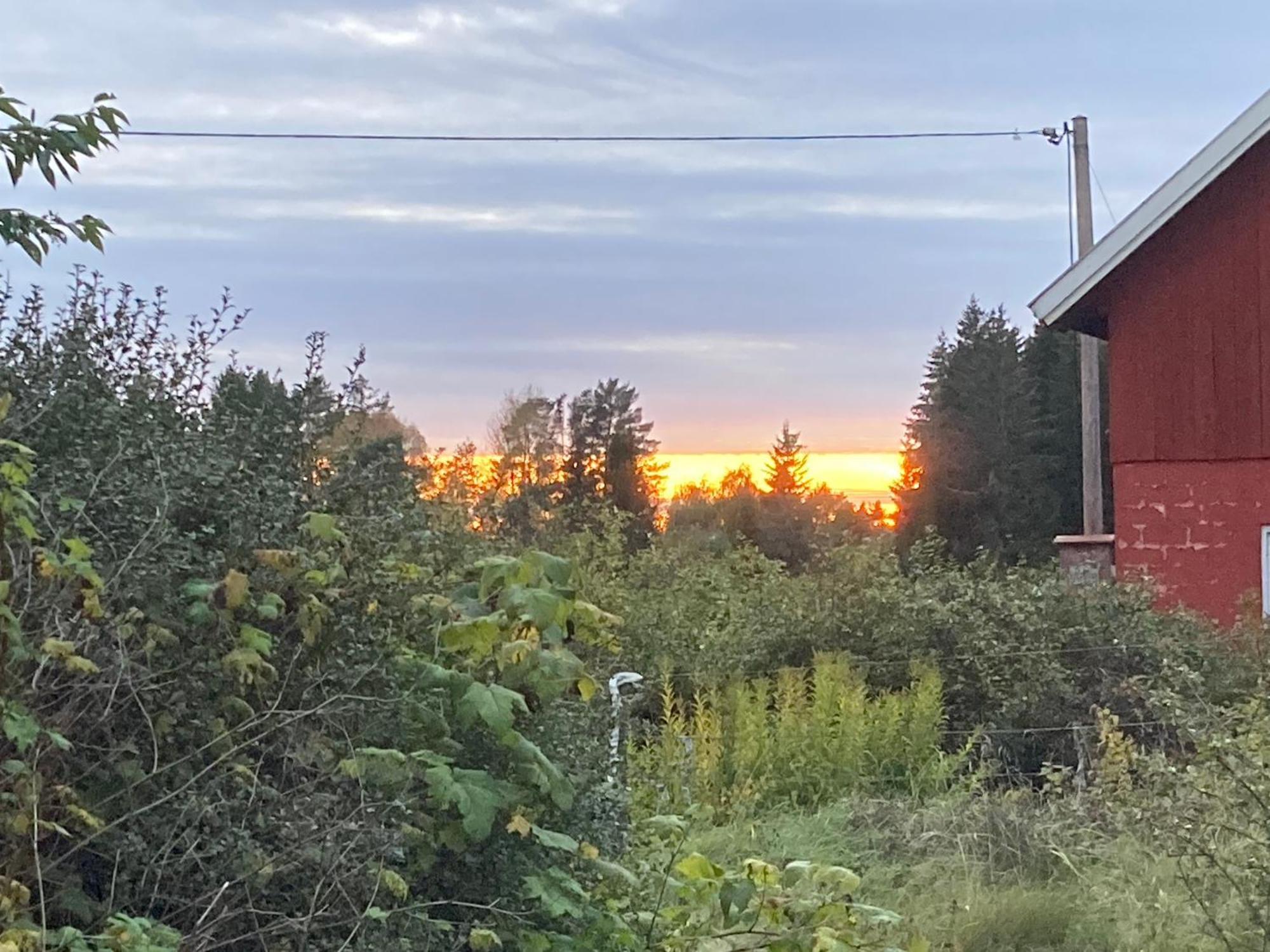 Egen Stuga Med Delat Badrum Norrtalje Exterior photo